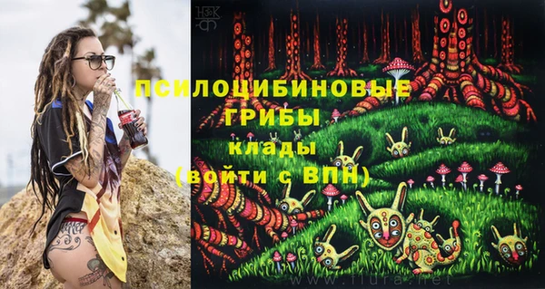 прущие крисы Верхний Тагил