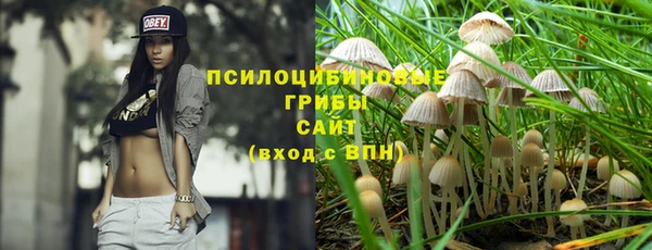 прущие крисы Верхний Тагил