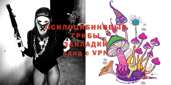 прущие крисы Верхний Тагил