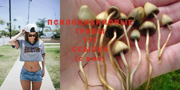 прущие крисы Верхний Тагил
