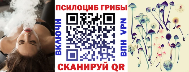 Галлюциногенные грибы Cubensis  МЕГА ссылки  Северобайкальск 