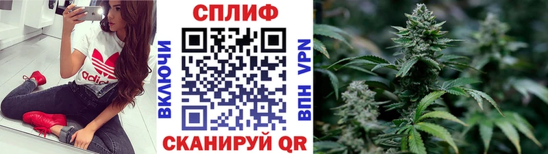 магазин продажи   Северобайкальск  Каннабис марихуана 